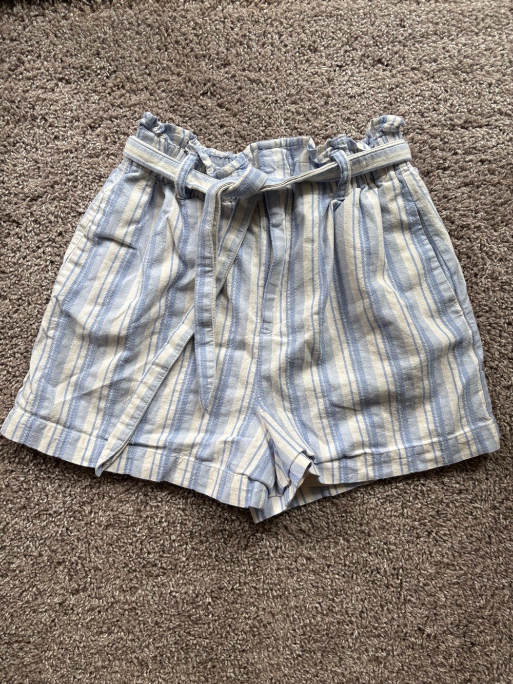 Express High-Waist Shorts in Light Blue and Cream Stripes